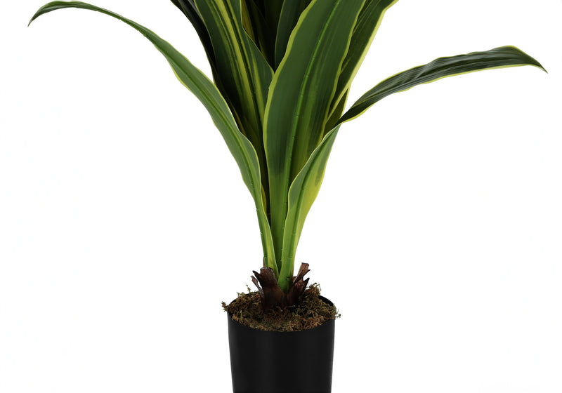 Arbre Dracaena de 47 po de hauteur : fausse plante d&