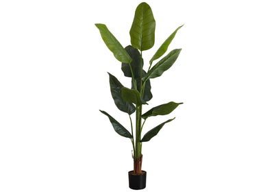 Arbre Strelitzia de 59 po de hauteur : fausse plante d'intérieur, touche réelle, verdure décorative