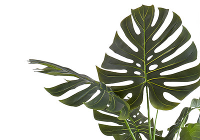 Arbre Monstera de 55 po de haut : plante artificielle réaliste avec des feuilles vertes, parfaite pour la décoration intérieure