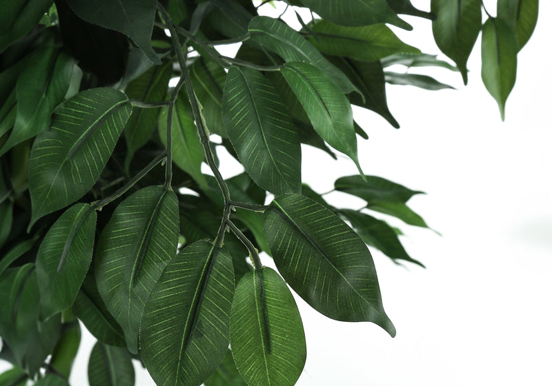 Faux Ficus – Plante artificielle d&