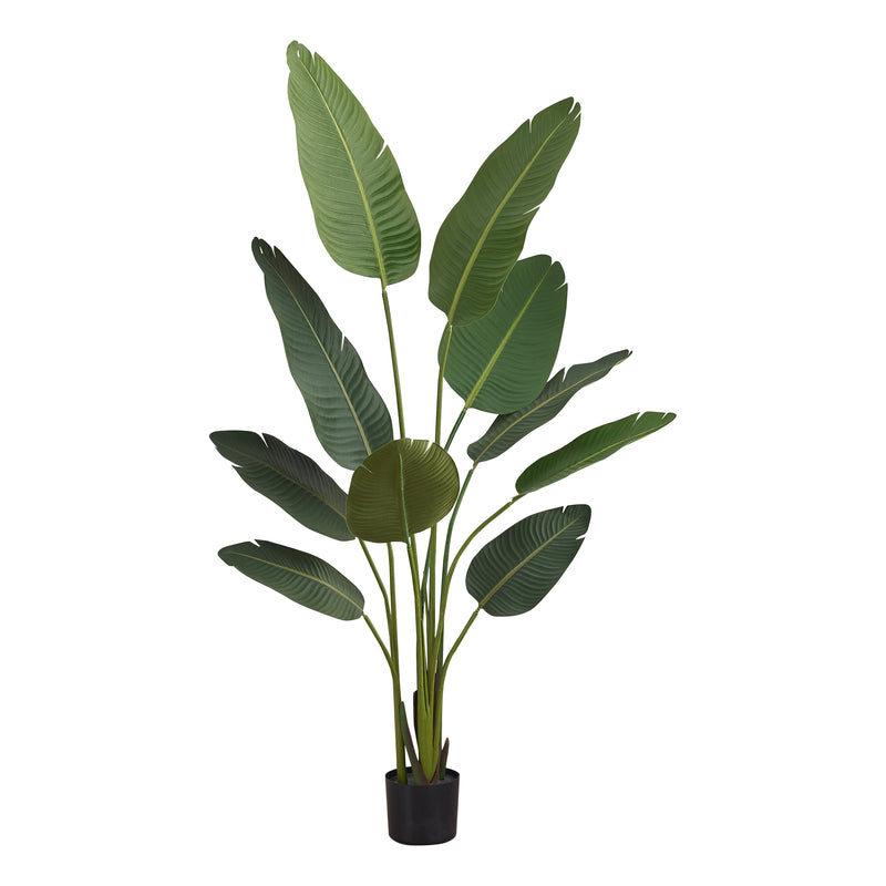 60" Tall Bird Of Paradise Tree: Black Pot - Perfect for adding a touch of nature to any space!