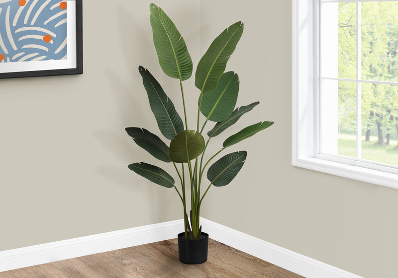 60" Tall Bird Of Paradise Tree: Black Pot - Perfect for adding a touch of nature to any space!