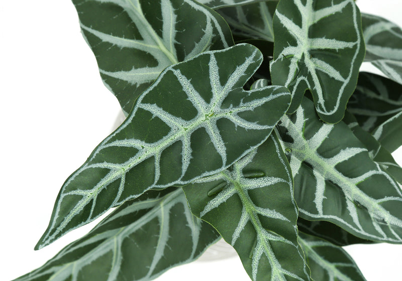 Ensemble de 2 fausses plantes Alocasia - 8" de haut, décor de table intérieure, feuilles vertes, pots en ciment blanc