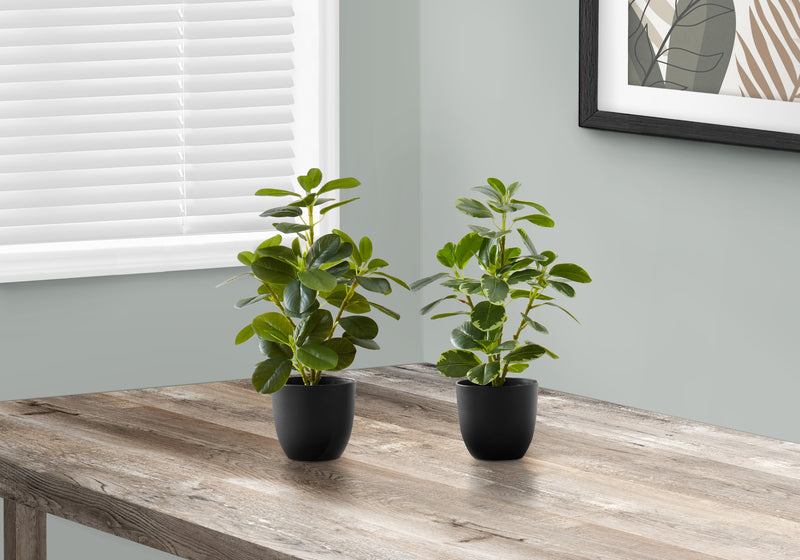 Ensemble de 2 fausses plantes de ficus d&