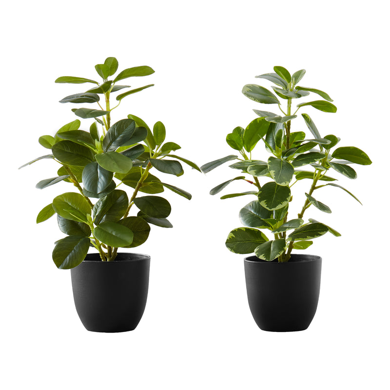 Ensemble de 2 fausses plantes de ficus d&