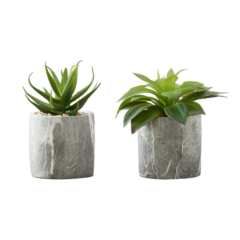 Ensemble de 2 plantes succulentes artificielles – Verdure décorative d&