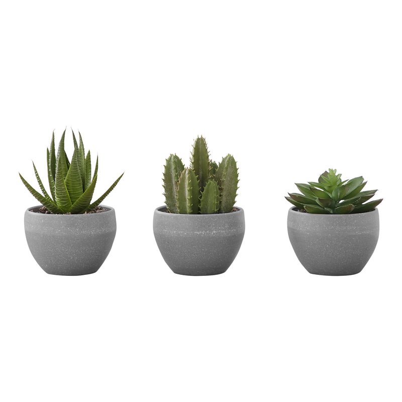 Ensemble de fausses plantes succulentes – 6" de haut, intérieur, verdure, en pot – Ensemble de 3 avec pots en ciment gris