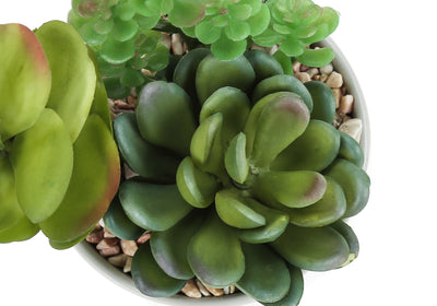 Ensemble de 2 fausses plantes succulentes, 7" de haut, verdure intérieure, pots décoratifs en céramique blanche