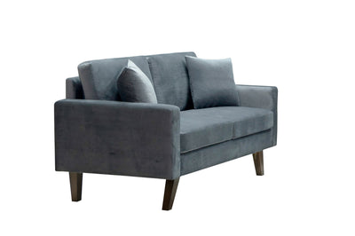 Modern Style Grey Loveseat