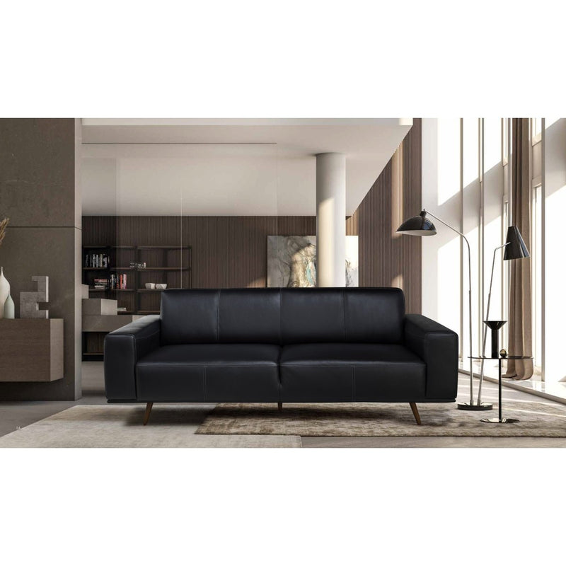 Ipanema Collection Loveseat - MA-99956BLK-2