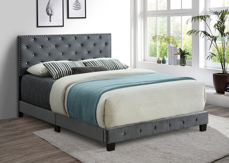 Grey Velvet Bed with Nailhead and Rhinestone Details - IF-5650-D-G