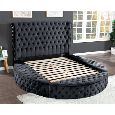 Hazel Black Velvet Storage Bed - ME-423-Q